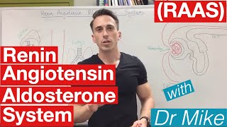 Renin Angiotensin Aldosterone system [upl. by Llewxam]