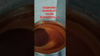 KUŞBURNU MARMELATI YAPİMİ KAYNATMA 5 [upl. by Tiersten]