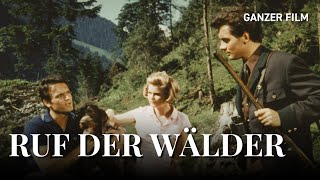 Ruf der Wälder 1965  Ganzer Film  HeimatfilmeTV [upl. by Rramaj]