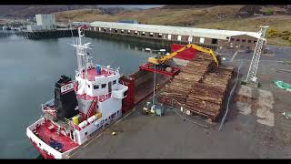 Cargo ship loading logs [upl. by Ordnagela]