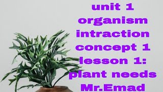 primary 5 First term unit 1organism interaction concept 1 lesson 1 Plant needs [upl. by Yelnik]