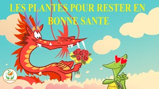 les plantes pour rester en bonne santé avec la médecine chinoise [upl. by Melva983]