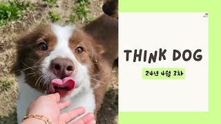 띵독Think Dog 24년 4월 소식 셋 [upl. by Galvan]