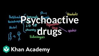 Overview of psychoactive drugs  Processing the Environment  MCAT  Khan Academy [upl. by Navac]