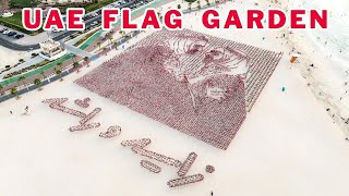 UAE Flag Garden [upl. by Navert]