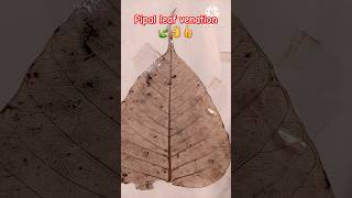 Pipal leaf venation🍃👌shorts video trending viralpipal pattanature and living organisms [upl. by Atsirc486]