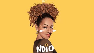 Bey T  Ndio Lyric Video [upl. by Eixela427]