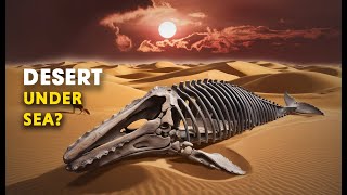 Why Does This Desert Have Lakh of Years Old Whale Fossils [upl. by James]