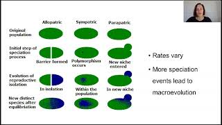 Speciation and macroevolution Part 2 [upl. by Eelanej]