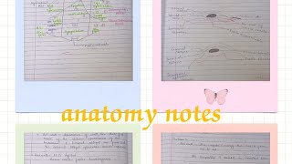 Anatomy notes first part bums notes ayush unani medicalcollegestudents meditation [upl. by Atsirak559]