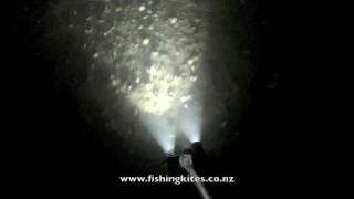 Spearing Flounder at Whangarei [upl. by Eidak479]