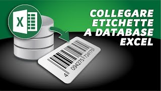 Nice Label tutorial come collegare un database Excel alletichetta [upl. by Hogan]