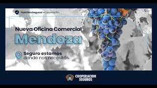 ¡Llegamos a Mendoza la tierra del sol y del buen vino [upl. by Hort903]