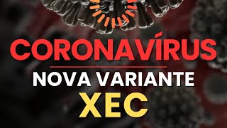 COVID19 VARIANTE XEC NO BRASIL [upl. by Arotahs]