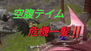 【ARKモバイル】24 空腹テイム危機一髪‼️ [upl. by Rox329]