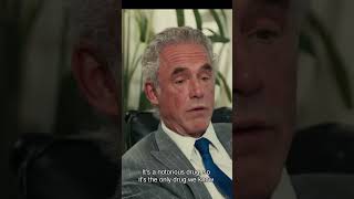 Alcohol is VERY Bad  Jordan Peterson shorts [upl. by Stannfield]