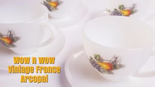 France ArcopalDinner Set [upl. by Aleahcim]