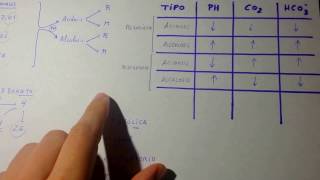 Equilibrio ÀCIDOBASE en 5 minutos ESQUEMA [upl. by Omiseno]