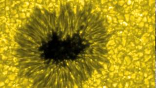 Sunspot Granulation and Convective Flow [upl. by Anawahs763]