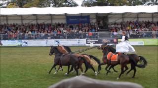 Hengstparade Neustadt Dosse [upl. by Enyawed72]