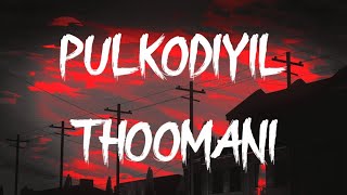 Pulkodiyil Thoomani Song Lyrics  Take Off [upl. by Wake119]