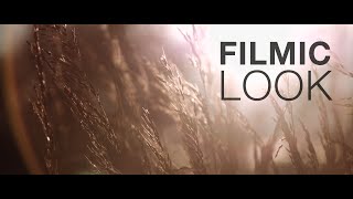 Easy grading How to get a filmic look Tutorial [upl. by Alejandra]