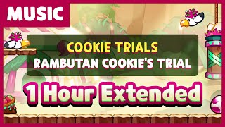 Cookie Run OST  Rambutan Cookies Trial Theme 1h Extended [upl. by Aicenek]