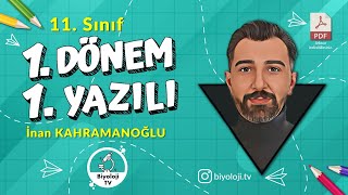 11Sınıf Biyoloji 1Dönem 1Yazılı  PDF  20242025 [upl. by Anuahsar220]