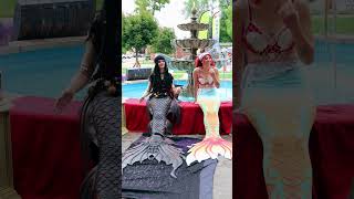 TWO MERMAIDS ON A FOUNTAIN Boyne City MI shorts ft Mermaid Vita [upl. by Fayth863]