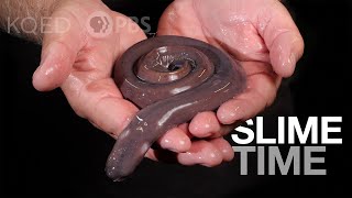 Have You Met a Hagfish It’s About Slime  Deep Look [upl. by Marge]