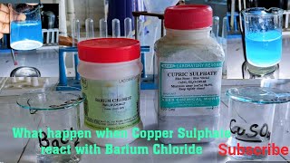 Barium Chloride and Copper Sulphate reaction experimentBaCl2 CuSO4 Double Displacement Reaction [upl. by Peatroy702]