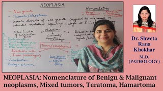 NEOPLASIA Nomenclature of Benign amp Malignant neoplasms Mixed tumors Teratoma Hamartoma [upl. by Westfahl]