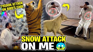 Snow kay attack say bach gya tu tycoon nay attack kar dia 😱 [upl. by Bette566]