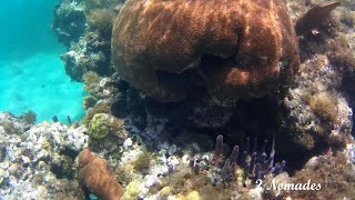 SNORKELING 10 PART 1  STARFISH JIBACOA VILLA TROPICO  CUBA [upl. by Vita]