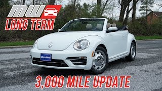 Long Term 2018 Volkswagen Beetle Convertible 3000 mile update [upl. by Ennayar]