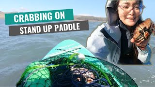 Solo crabbing trip on SUP first timer edition [upl. by Ynnelg475]