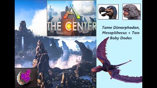 ARK Survival Ascended  TAME DIMORPHODON MESOPITHECUS  BABYS  MAP THE CENTER  MHG 4K  10 [upl. by Norwood]