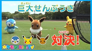 【ポケモン公式】勝つのはだあれ！？ポッチャマ vs ピカチュウ vs イーブイ「巨大せんぷうき対決」－ポケモン Kids TV [upl. by Amoreta]