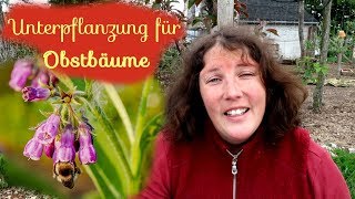 Unterpflanzung für 🌳 Obstbäume │ Permakultur │Polyculture [upl. by Selokcin]