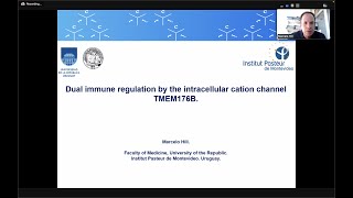 quotDual immune regulation by the cation channel TMEM176Bquot by Dr Marcelo Hill [upl. by Standish198]