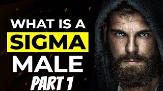 The Epic Rise of Sigma Males Explained [upl. by Fonville]