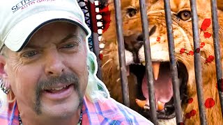 Joe Exotic  The DANGERS of Owning Wild Animals  Curious Natural World [upl. by Eilah18]