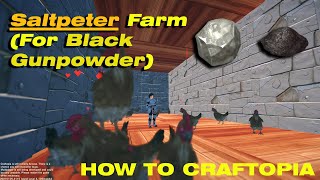 How to make a Saltpeter Farm for black gunpowder HOW TO CRAFTOPIA [upl. by Hajan]