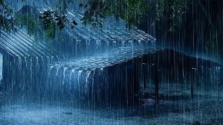 Goodbye Insomnia With Heavy RAIN Sound  ASMR Rain Sounds On Old Roof In Foggy Forest At Night [upl. by Pomeroy945]