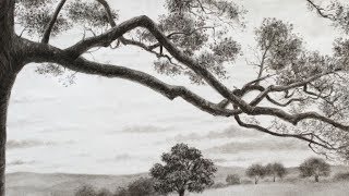 How to Draw Tree Branches  Narrated Tutorial [upl. by Jennine]