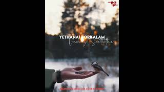 Yethanai Porkalam  Tamil Christian Songs  Giftson Durai  Whatsapp status  Jesus songs  Lyrics [upl. by Piks]