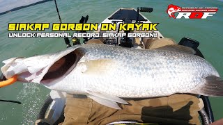 Unlock Personal Record  Siakap Gorgon   Ryobi Virtus 2 M 800  Kayak Fishing Malaysia  ROF100 [upl. by Aietal]