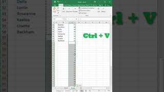 Excel Tips shorts [upl. by Aelegna]