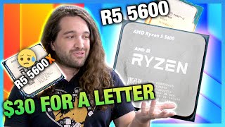 AMD Ryzen 5 5600 vs i512400 amp 5600X CPU Review amp Benchmarks [upl. by Glasgo526]