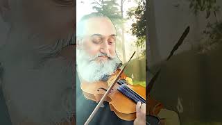 Song from a Secret Garden  Violin Cover [upl. by Ardiek]